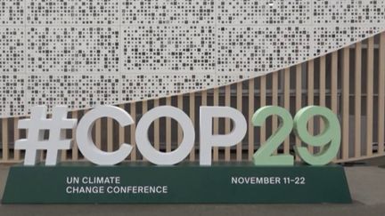 COP 29 : les accords de Paris sont-ils en péril ?