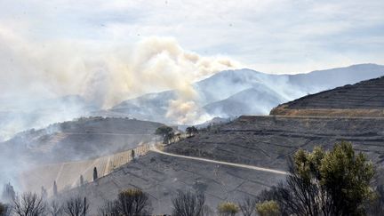 Un incendie s'est déclaré entre Banyuls-sur-Mer et Cerbère (Pyrénées-Orientales), le 16 avril 2023. (CHRISTOPHE BARREAU / MAXPPP)