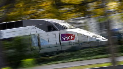 Un TGV de la SNCF à Nantes (Loire-Atlantique), le 8 novembre 2017. (LOIC VENANCE / AFP)