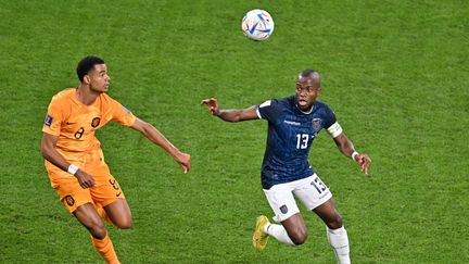 Les buteurs Cody Gakpo (à gauche) et Enner Valencia (à droite) lors de Pays-Bas-Equateur, le 25 novembre 2022. (MUSTAFA YALCIN / ANADOLU AGENCY / AFP)