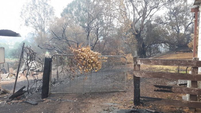 A Cobargo (Nouvelle-Galles-du-Sud), localité touchée par les incendies qui ravagent le sud-est de l'Australie. (GAELE JOLY / RADIO FRANCE)