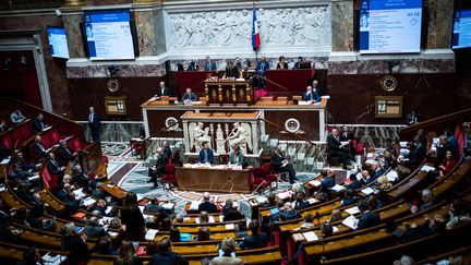 L'hémicycle de l'Assemblée nationale, le 12 janvier 2023. (XOSE BOUZAS / HANS LUCAS / AFP)