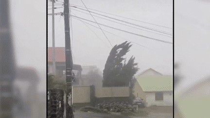 Cyclone Belal : les habitants et les secours de La Réunion confinés (France 2)