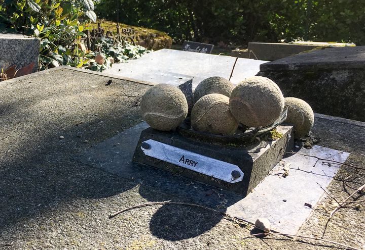 Une tombe du cimetière des chiens d'Asnières-sur-Seine. (SIMON GOURMELLET / FRANCEINFO)