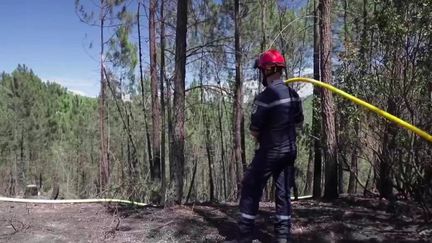 Incendies : témoignages de pompiers sur le terrain