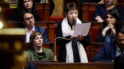 La députée LFI Andrée Taurinya lors d'une séance de questions au gouvernement, le 6 décembre 2022. (THOMAS PADILLA / MAXPPP)