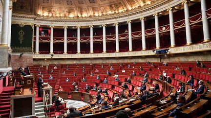 L'Assemblée nationale le 28 avril 2020. (DAVID NIVIERE / POOL)