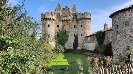 Le château de l'Ébaupinay dans les Deux-Sèvres. (ANNE CHÉPEAU / FRANCE-INFO)