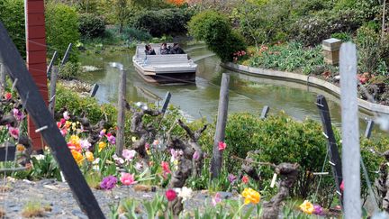 Des fleurs dans Terra Botanica à Angers. (MAXPPP)