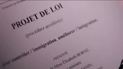 Loi immigration : les réactions politiques après la suppression de l'article 3 (franceinfo)