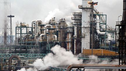 Pour r&eacute;aliser cette enqu&ecirc;te, il a fallu localiser pr&eacute;cis&eacute;ment chaque industrie dangereuse, comme l'usine de Saint-Avold, en Moselle. (PIERRE ANDRIEU / AFP)