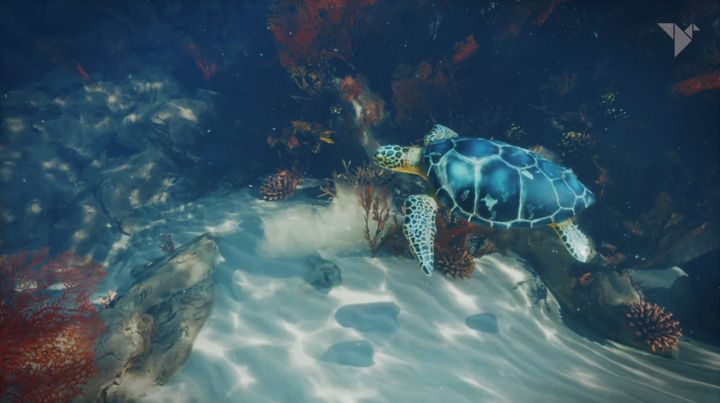 MK2 + nous glisse dans la peau d'une tortue de mer avec "Paradise Lost". (MK2 +)