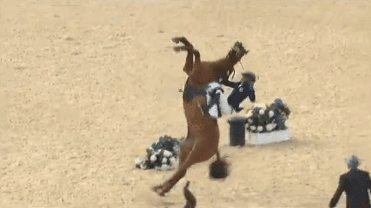 VIDEO. Pentathlon : un cheval se cabre et écrase son cavalier