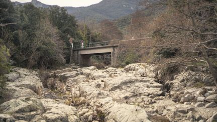 La rivière de la Massane (Pyrénées-Orientales) est à sec, le 8 mars 2023. (IDRISS BIGOU-GILLES / HANS LUCAS / AFP)