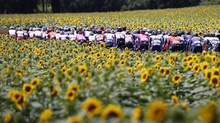 Le peloton du Tour lors de la 14e étape entre Carcassone et Quillan, le 10 juillet 2021. (THOMAS SAMSON / AFP)