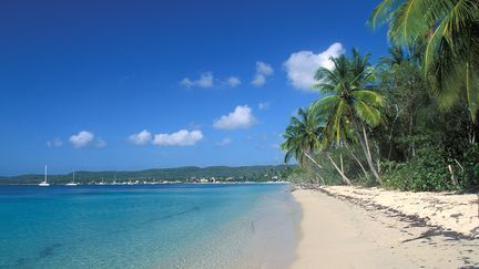 Grande Terre, plage de&nbsp;Sainte Anne en Guadeloupe.&nbsp; (GETTY IMAGES)