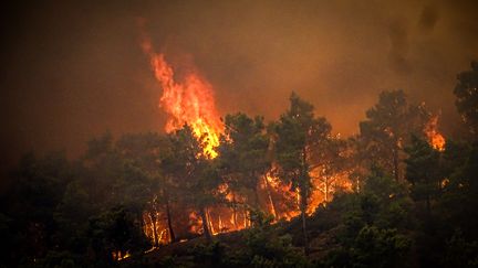 The forest burns on the Greek island of Rhodes, on July 22, 2023. (EUROKINISSI / EUROKINISSI VIA AFP)