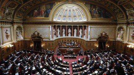 Les sénateurs sont réunis dans l'hémicycle de la Haute Assemblée, à Paris, le 28 octobre 2014. (FRANCOIS GUILLOT / AFP)