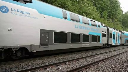 Après le déraillement d’un TER transportant près de 200 personnes la veille à Grigny-le-Sablon (Rhône), la SNCF a annoncé ce lundi 29 avril 2024 que la ligne reliant Firminy à Lyon sera interrompue au moins jusqu’au 1er mai. (France 2)