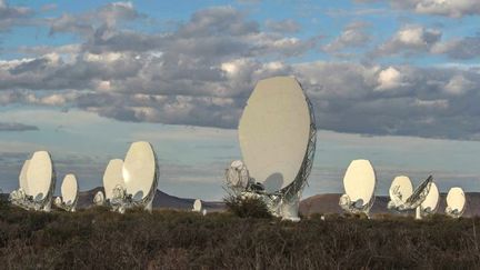 Le 13 juillet 2018, l'Afrique du Sud a dévoilé le radiotélescope MeerKAT, réseau de 64 antennes installées dans le désert du Karoo. (MUJAHID SAFODIEN / AFP)