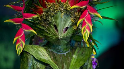 Une cr&eacute;ation du designer colombien&nbsp;Juan Pablo Garzon est pr&eacute;sent&eacute;e lors du Biofashion show &agrave; Cali (Colombie), le 29 novembre 2014. (LUIS ROBAYO / AFP)