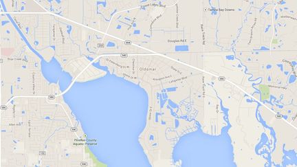 Un jeune schizophr&egrave;ne a tu&eacute; sa m&egrave;re pour des raisons futiles, le 31 d&eacute;cembre 2014 &agrave; Oldsmar (Floridde, Etats-Unis). (GOOGLEMAPS)