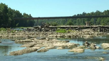 Canicule :&nbsp;de fortes chaleurs attendues toute la semaine partout en France (France 3)