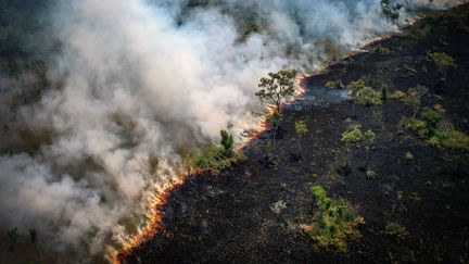 Une zone brûlée en Amazonie, dans le nord du Brésil, le 31 août 2022.&nbsp; (DOUGLAS MAGNO / AFP)