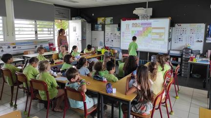 Rentrée scolaire 2024en province Sud. La classe bilingue de CE2 de l'école Frédérick-Louis Dorbritz à Dumbéa. (Illustration) (LIZZIE CARBONI / NOUVELLE CALEDONIE LA 1ERE)