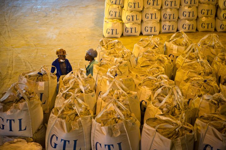 Deux ouvriers parlent à côté de sacs de cobalt dans une usine de retraitement de Lubumbashi. (PHIL MOORE / AFP)