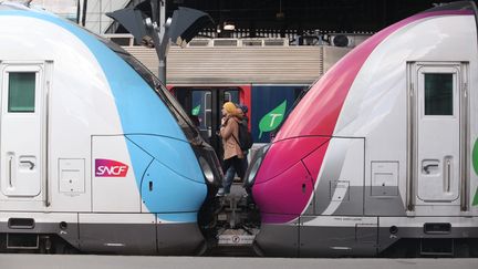 Des trains à la gare Saint-Lazare à Paris le 26 avril 2018. (MAXPPP)