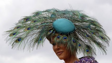 Un paon fier d'y avoir laiss&eacute; ses plumes. (STEFAN WERMUTH / REUTERS)