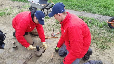 Les élèves du lycée horticole de Raimes rénovent le chemin pavé de Paris-Roubaix.&nbsp; (FABRICE RIGOBERT/RADIOFRANCE)