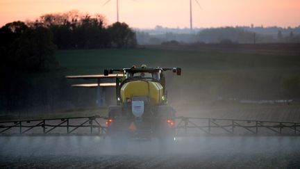 Un agriculteur utilise du glyphosate dans un champ de maïs dans le département de la Sarthe, en avril 2021. (JEAN-FRANCOIS MONIER / AFP)