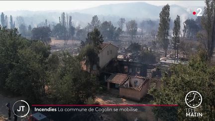 Incendies : dans le Var, la commune de Cogolin se mobilise