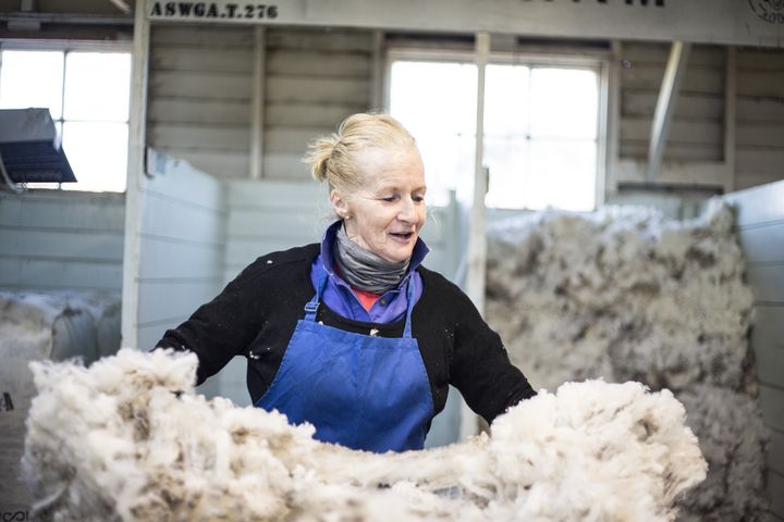 Dans une des fermes d'élévage de moutons, fournisseurs en laine pour la marque d'écharpes Amédée Paris&nbsp; (AMEDEE PARIS)