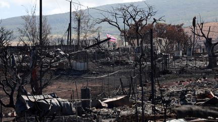 La ville de Lahaina, sur l'île de Maui, a été dévastée par les incendies qui ont touché l'archipel américain d'Hawaï fin août 2023. (HIROTO SEKIGUCHI / YOMIURI  / AFP)