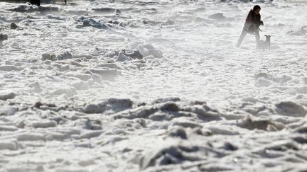 Une femme et son chien se promène sur la glace, le 30 juin 2019 à Guadalajara (Mexique). (ULISES RUIZ / AFP)