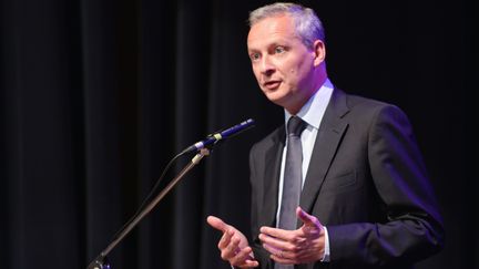 Bruno Le Maire, d&eacute;put&eacute; UMP de l'Eure, &agrave; Jaunay-Clan (Vienne),&nbsp;le 20 mai 2014. (GUILLAUME SOUVANT / AFP)