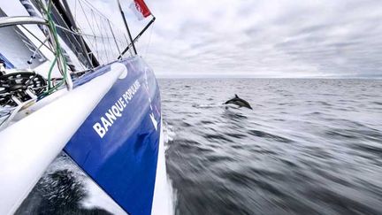 Banque Populaire continue d'avaler les milles sur le Vendée Globe