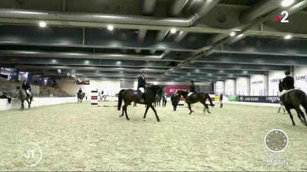 Finlande : de l'électricité produite à partir de crottin de cheval