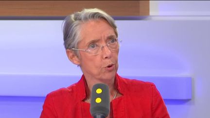 Élisabeth Borne, la ministre&nbsp;de la Transition écologique et solidaire. (FRANCEINFO / RADIOFRANCE)