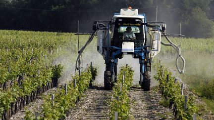 Un tracteur pulvérise du sulfate sur des pieds de vignes, à Macau, près de Bordeaux, le 24 mai 2012. (JEAN-PIERRE MULLER / AFP)