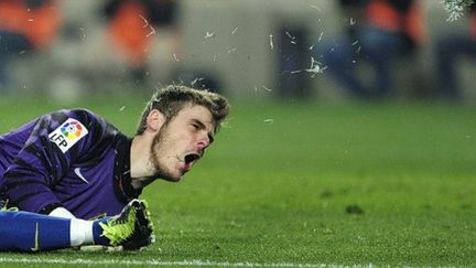 David De Gea