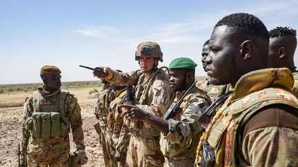 Des soldats maliens et français du contingent Barkhane lors d'une opération dans le Gourma, au Mali, en janvier 2021. (FREDERIC PETRY / HANS LUCAS)