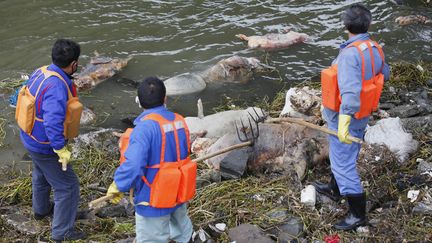 Des employ&eacute;s de la ville de Shanghai&nbsp;(Chine) nettoyent les rives du fleuve&nbsp;Huangpu, le 11 mars 2013. ( REUTERS)