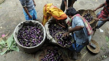 Aubergines sur un marché indien. (AFP - Deshakalyan Chowdhury)