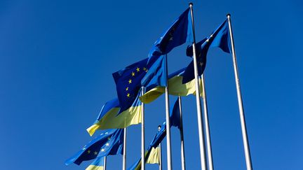 Des drapeaux ukrainiens flottent aux côtés de drapeaux de l'UE à l'extérieur du Parlement européen à Strasbourg, le&nbsp;9 mars 2022. (ABDESSLAM MIRDASS / HANS LUCAS / AFP)