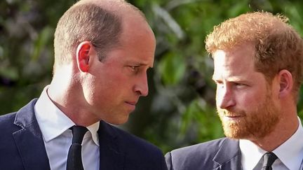 Mort d'Elizabeth II : les princes William et Harry réunis dans la douleur&nbsp; (France 2)