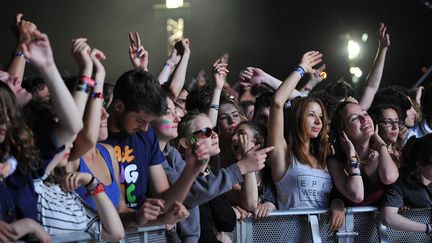 Solidays 2014 : record de fréquentation avec 175.000 spectateurs
 (Philippe Lecoeur / MAXPPP)